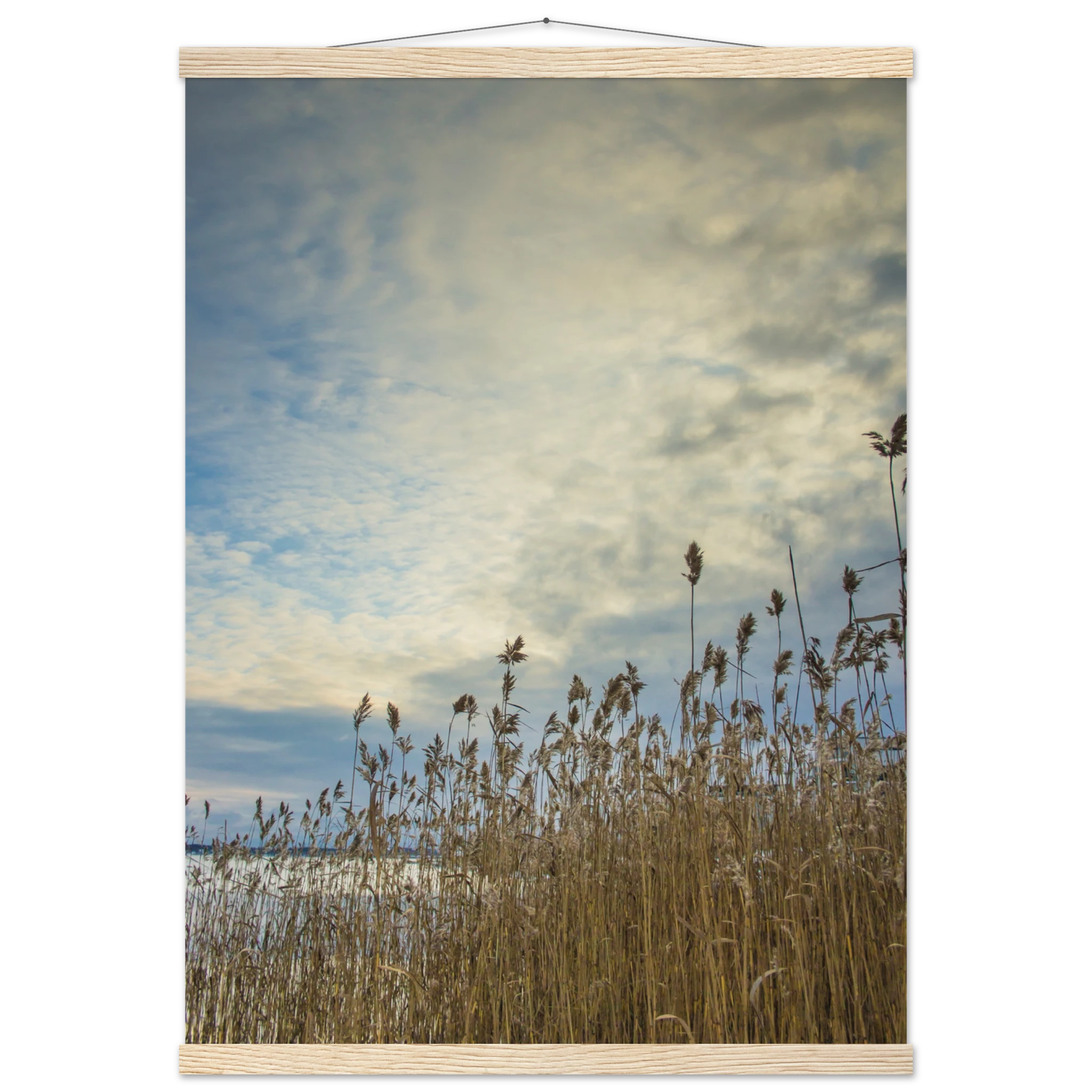 8f02f6de-d098-4e87-bc91-bdae9ddbba0d