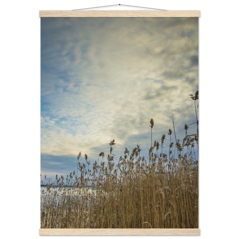 8f02f6de-d098-4e87-bc91-bdae9ddbba0d