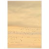 8f340d11-e3ee-455d-86a9-dc5ad5cf0865