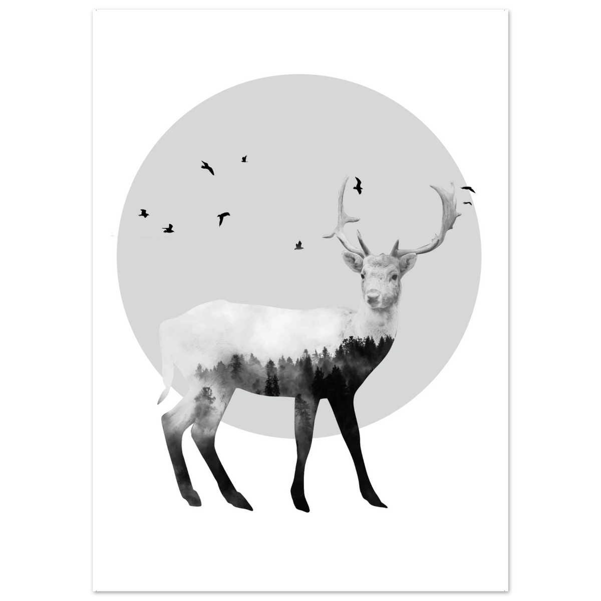 8f3ebbea-875c-4481-9b08-788b3916775b