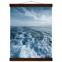 8f857a1d-acd6-419d-9d76-5654797d166c