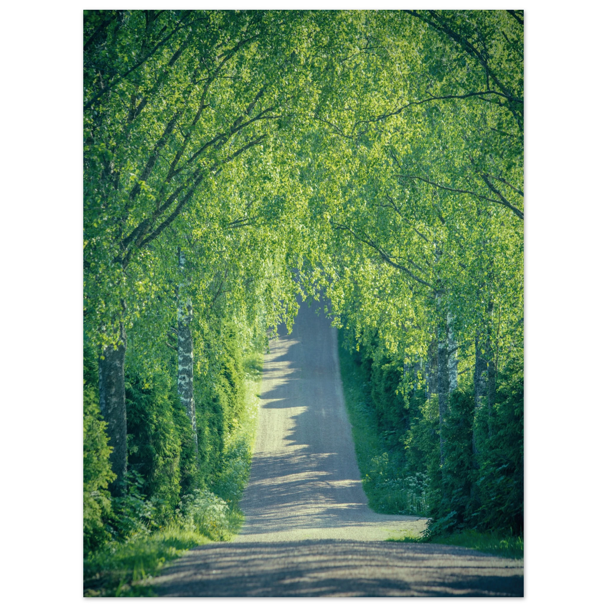 8fccc5d7-cc91-4986-9e38-4440204cdebc