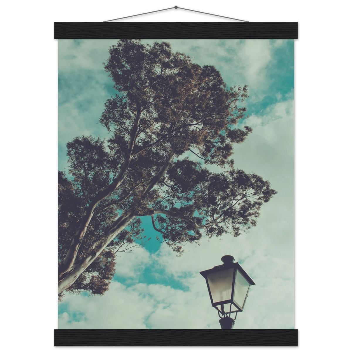 8ff5b6c6-d3b5-4a35-afaa-a067f49ba0fc