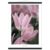 90481564-c5a7-464b-bcc2-adfe86463c18