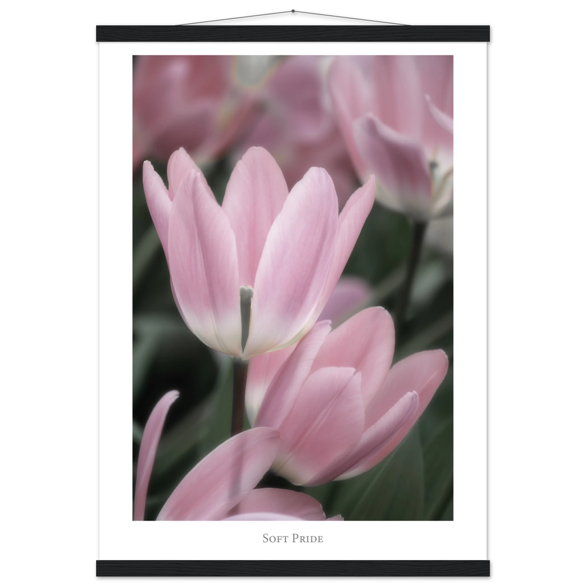 90481564-c5a7-464b-bcc2-adfe86463c18