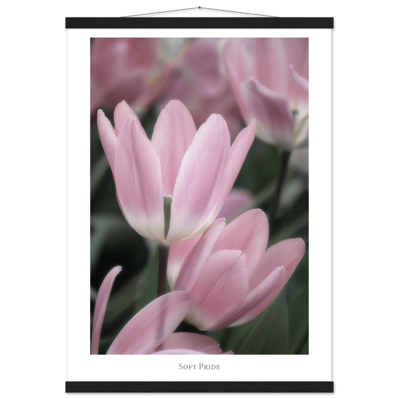 90481564-c5a7-464b-bcc2-adfe86463c18