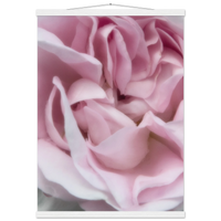 90f28bb8-a797-46b2-be48-0ec6c2f29981