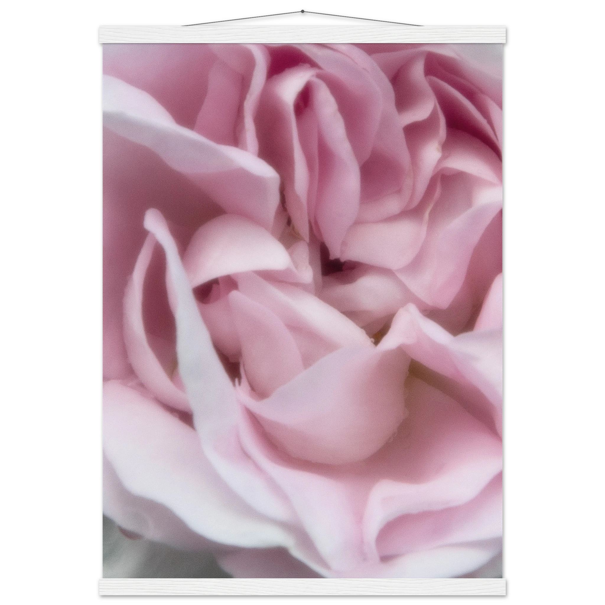 90f28bb8-a797-46b2-be48-0ec6c2f29981