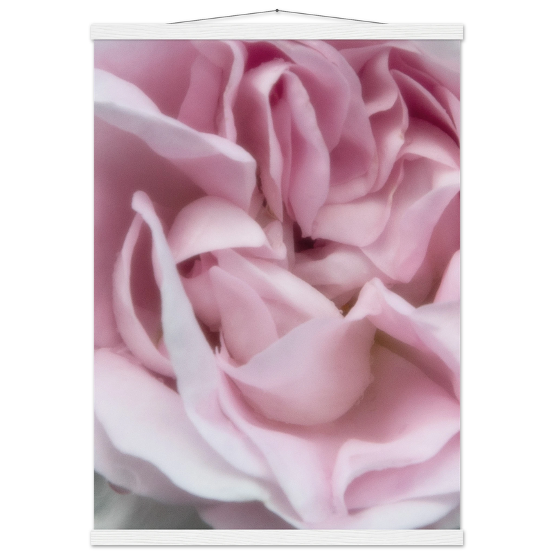 90f28bb8-a797-46b2-be48-0ec6c2f29981