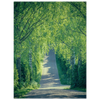 910d2fd0-71d6-4f5a-bd35-7855d0f59896