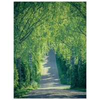 910d2fd0-71d6-4f5a-bd35-7855d0f59896