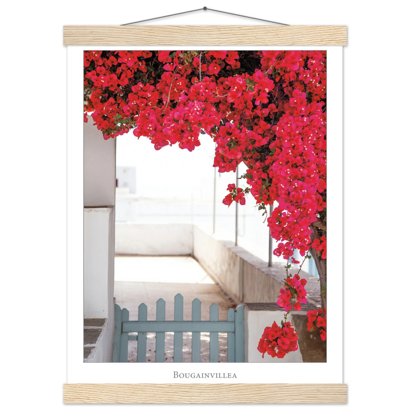 921ca167-f156-43aa-831c-179491171e31