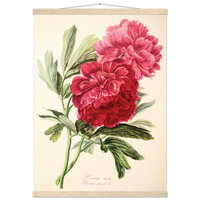 92563f52-84a4-461c-ad65-4d10f2ce945f