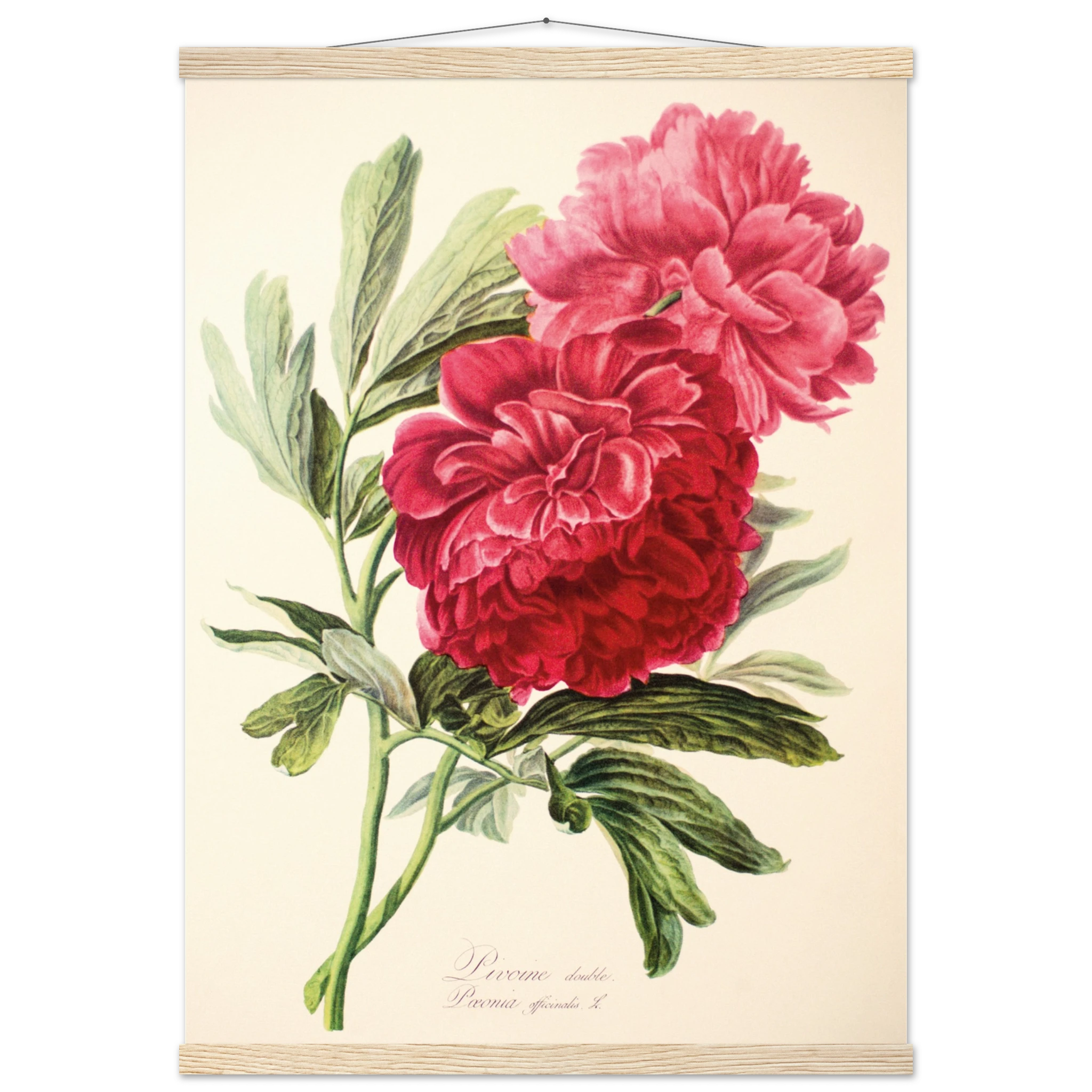 92563f52-84a4-461c-ad65-4d10f2ce945f