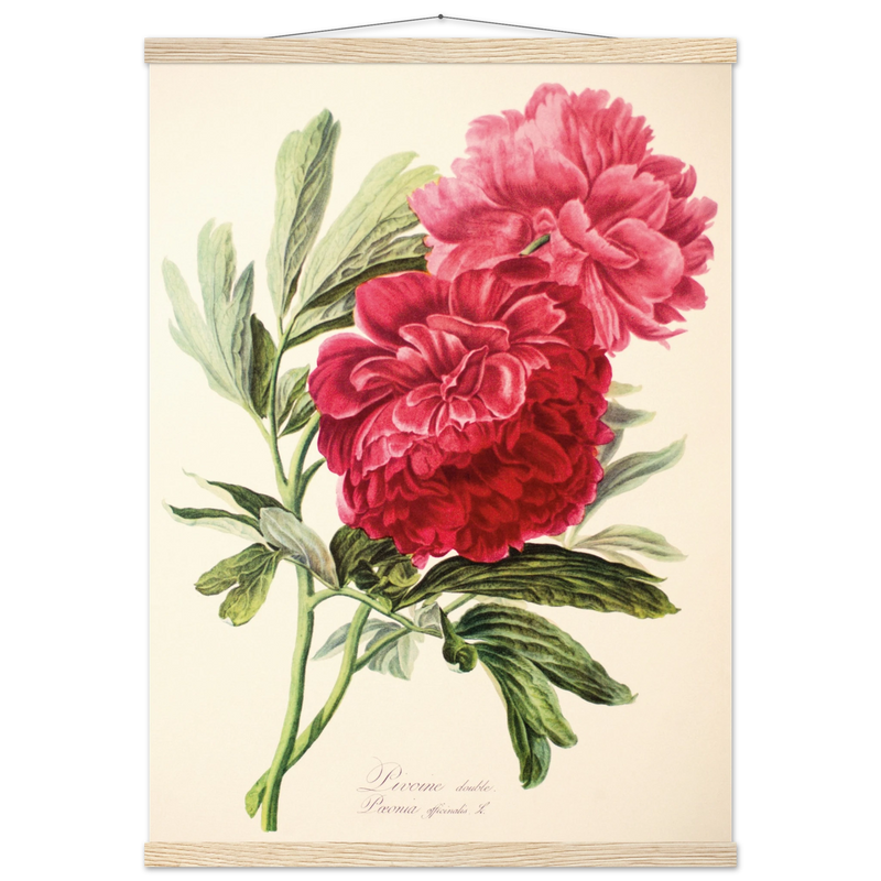 92563f52-84a4-461c-ad65-4d10f2ce945f