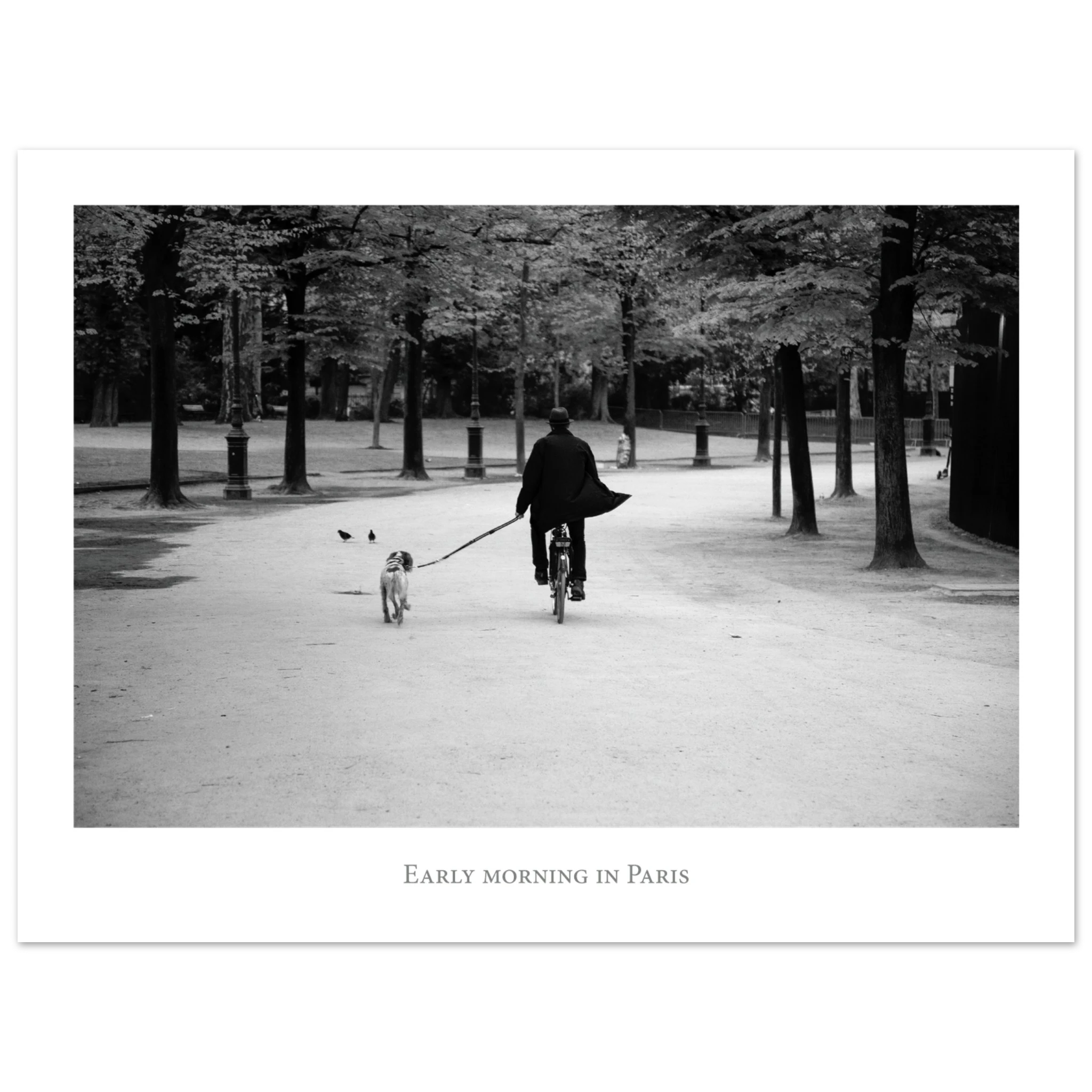 930d510d-e31b-4b57-bc62-4c0184b5c0cb