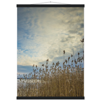 95ed7c5c-59e2-47b3-b6df-e717ce662d79