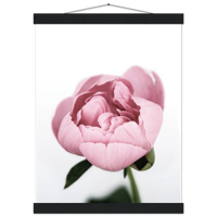 95f5ab27-43b9-475e-85ee-bdc333fd69de