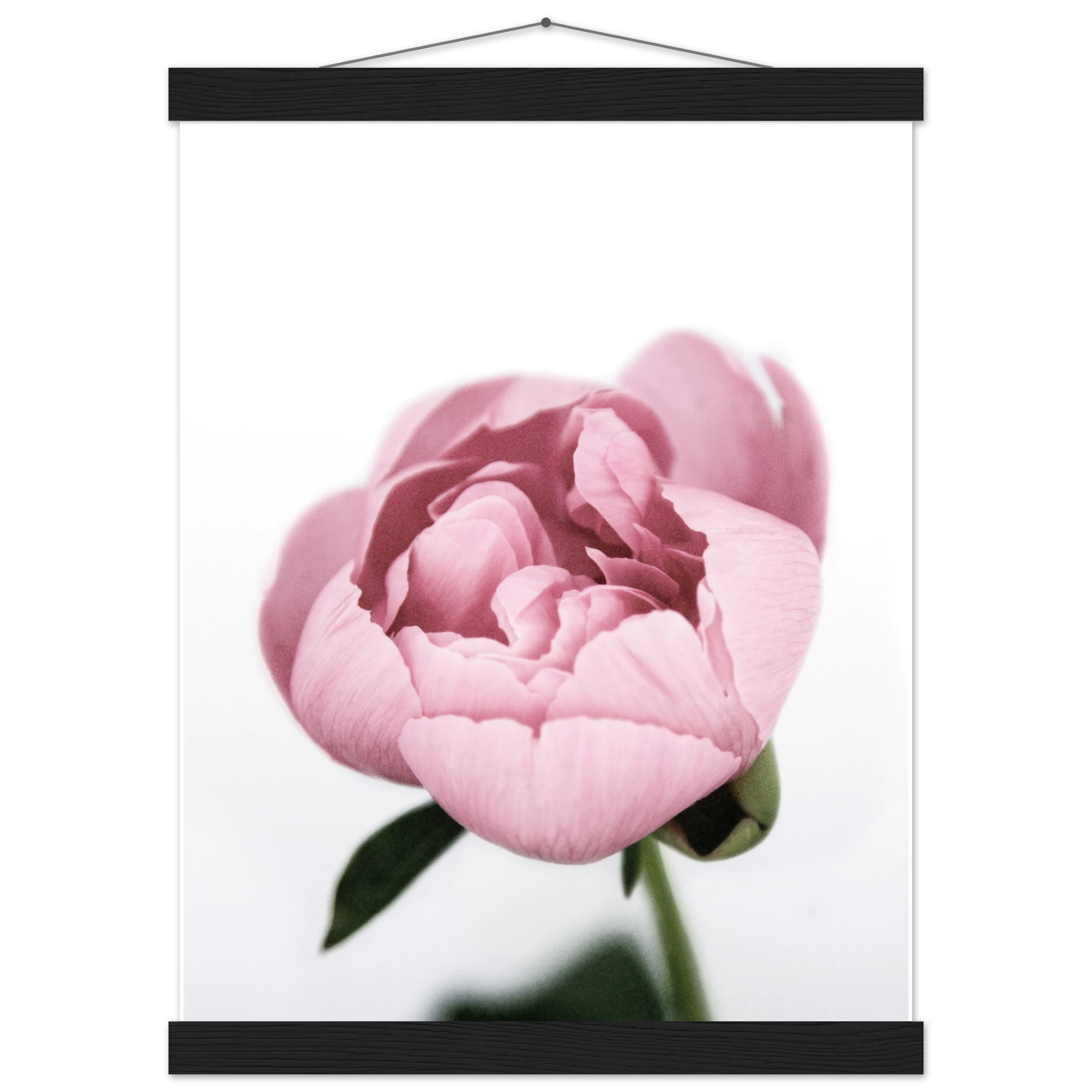 95f5ab27-43b9-475e-85ee-bdc333fd69de