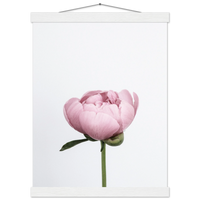 97843e88-0dae-4fa6-afe8-8bd37bb9626d