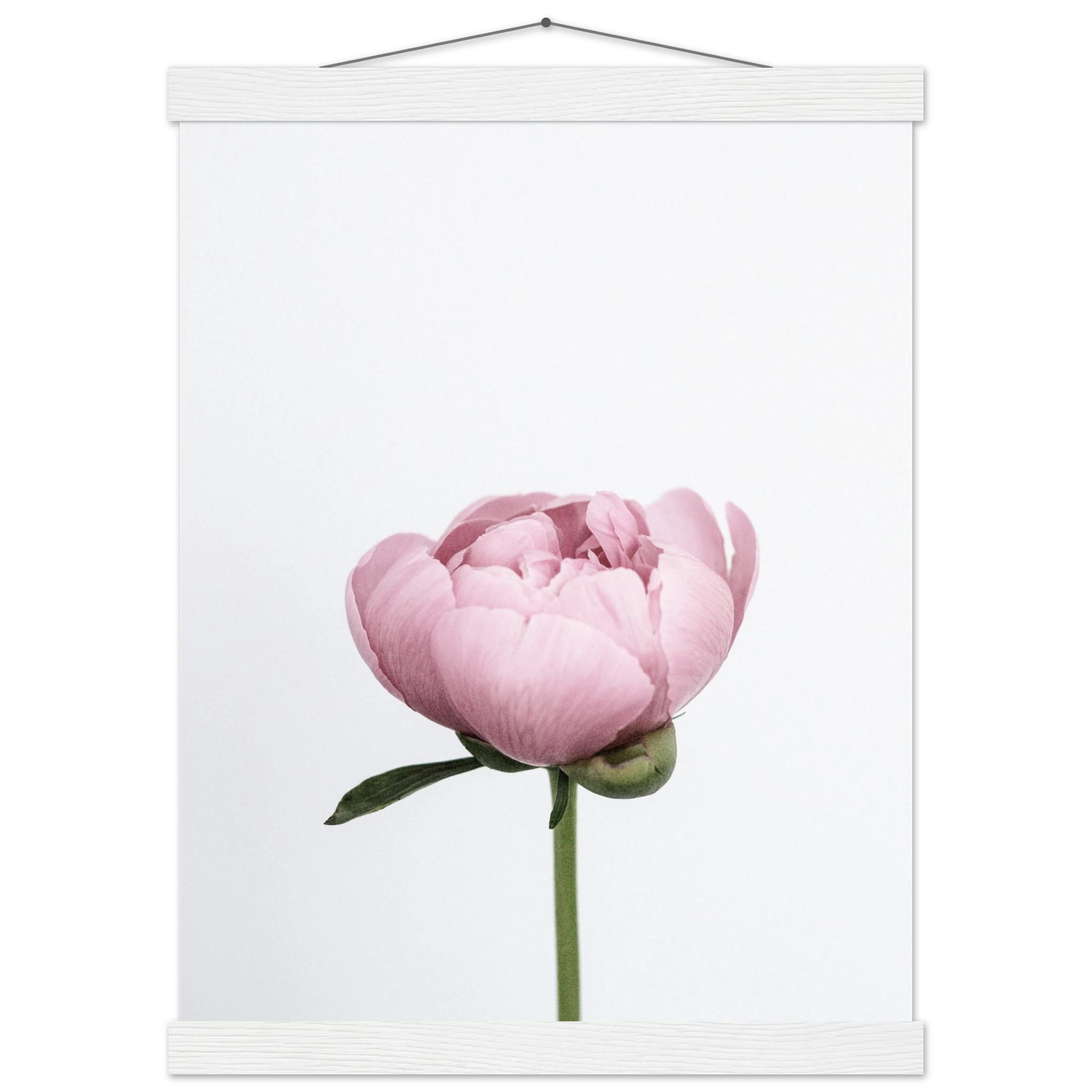 97843e88-0dae-4fa6-afe8-8bd37bb9626d