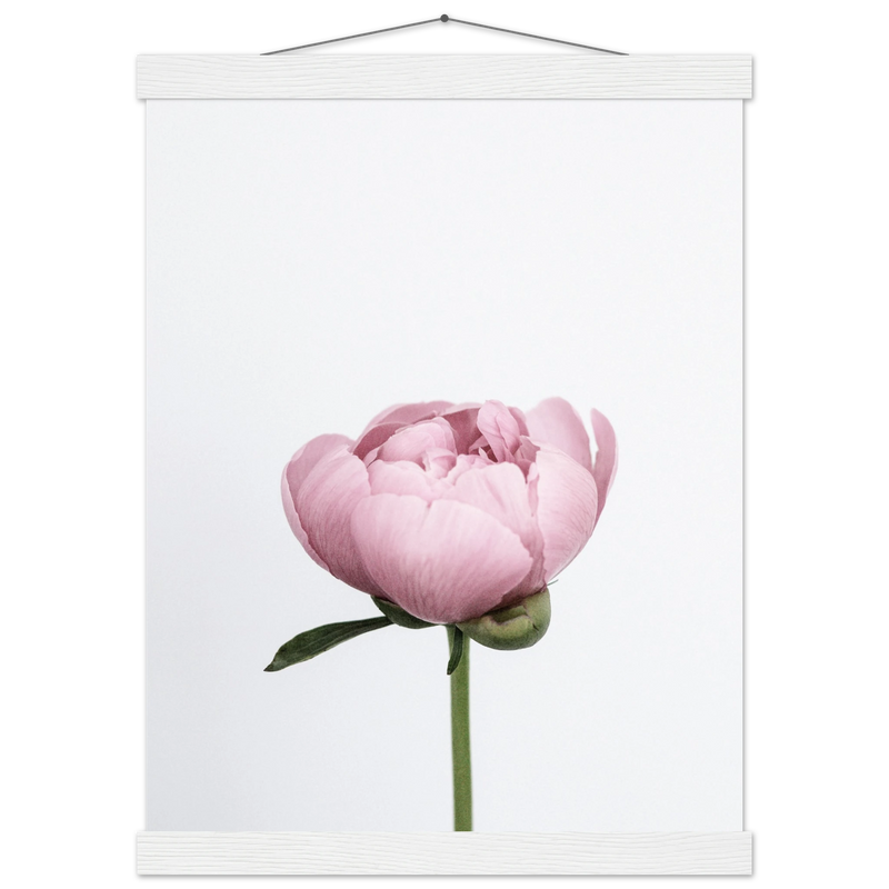 97843e88-0dae-4fa6-afe8-8bd37bb9626d