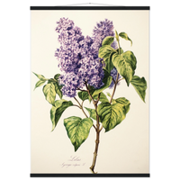 98475634-06cf-4266-9b06-3b16129aad51