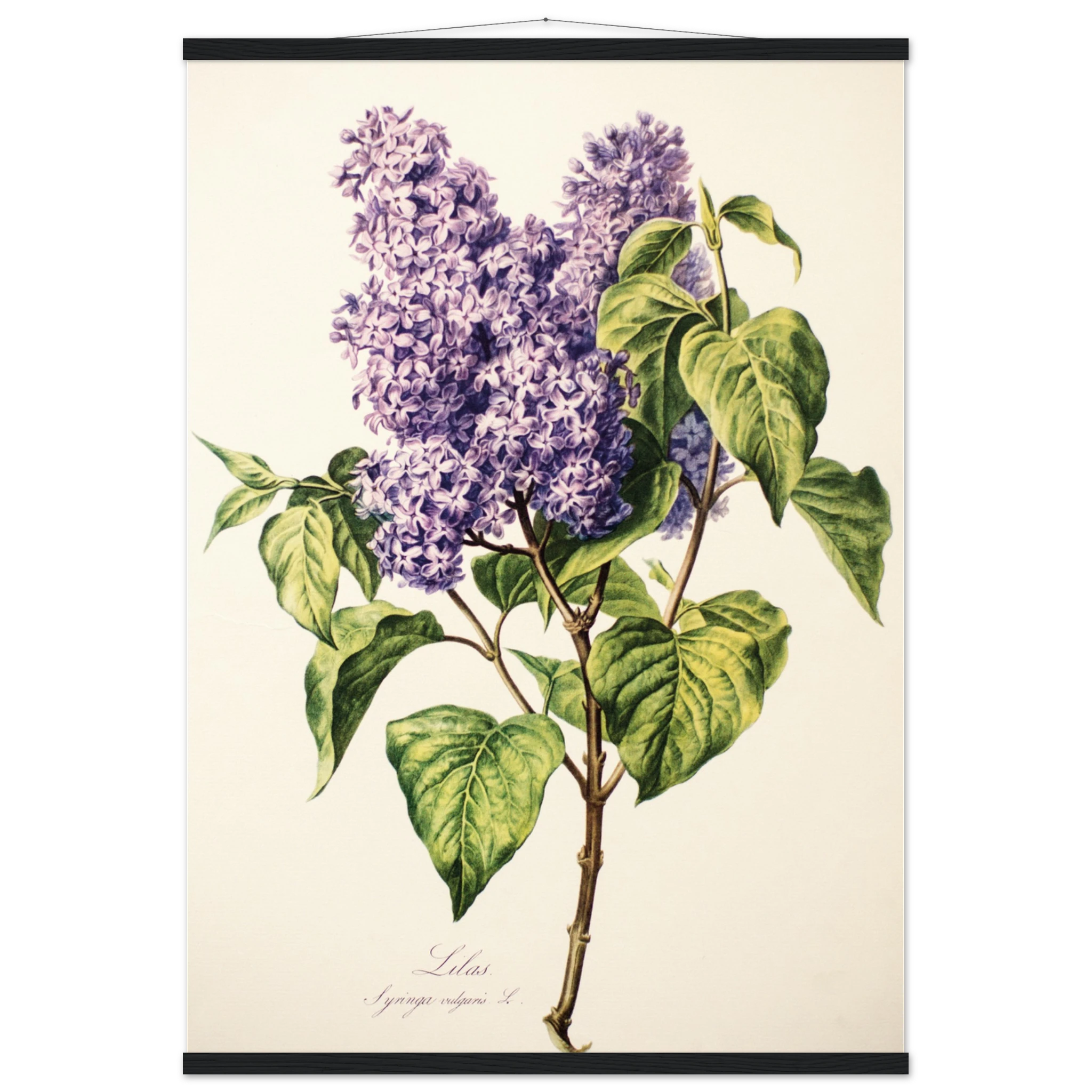 98475634-06cf-4266-9b06-3b16129aad51