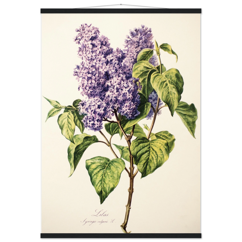 98475634-06cf-4266-9b06-3b16129aad51