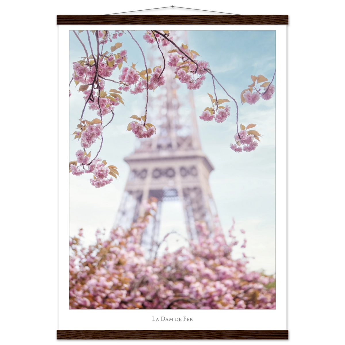 986da2e4-1efe-48fe-810f-d15303dc9724