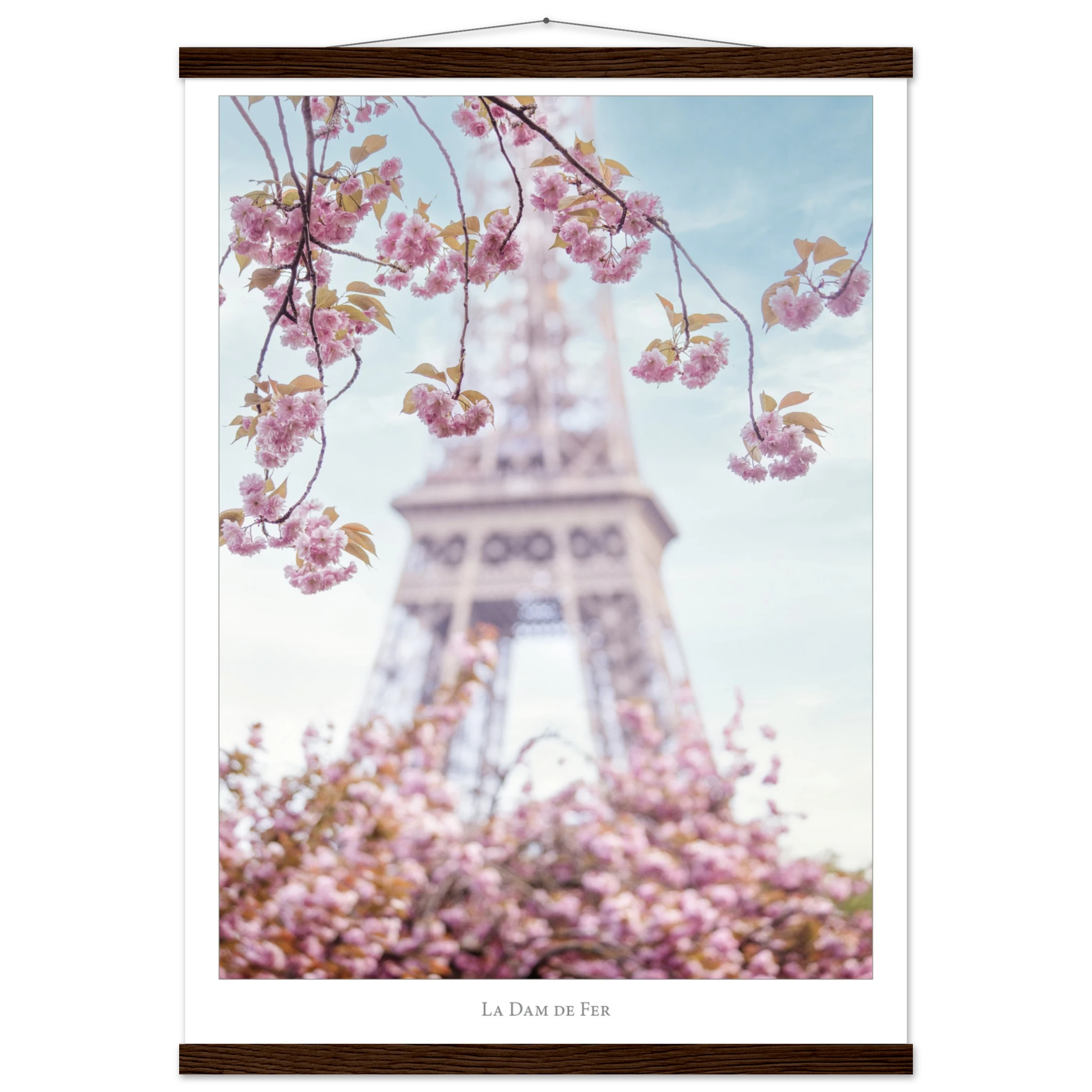 986da2e4-1efe-48fe-810f-d15303dc9724