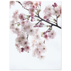 990432aa-ac95-4bb3-91ba-6bc810ad0043