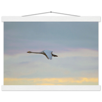 9989e99f-3bc7-4d65-98f3-0886689cd2d8