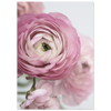 9a354f96-9f18-4af9-8f98-f70e131d7179