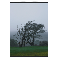 9a4466f9-3339-4a26-8a91-83bc0f7cfb4f