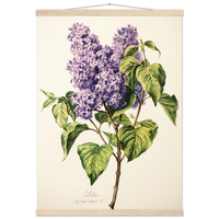 9bb06729-83e3-4b4f-9a0e-cf64f9f6e439