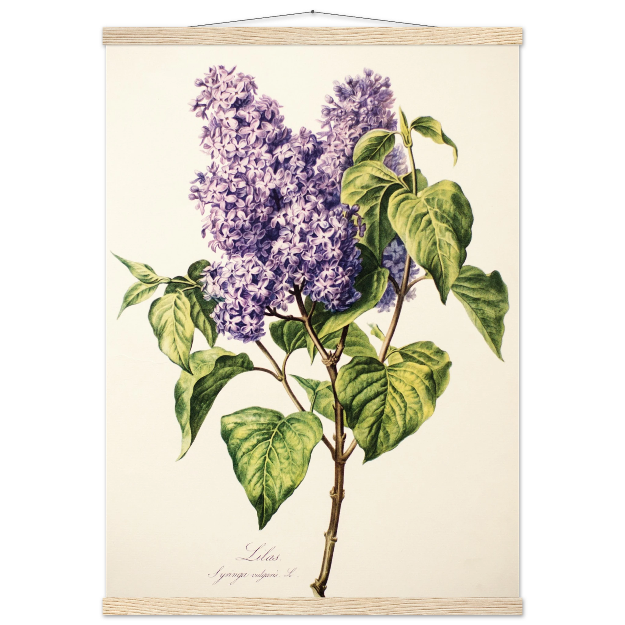 9bb06729-83e3-4b4f-9a0e-cf64f9f6e439