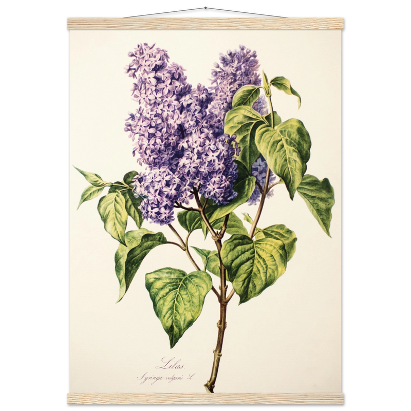 9bb06729-83e3-4b4f-9a0e-cf64f9f6e439