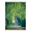 9c3820f8-1a2f-4b44-b1b5-f30fadfdf424