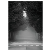 9de699b8-4f12-4e72-9569-eb4abc0af7e2