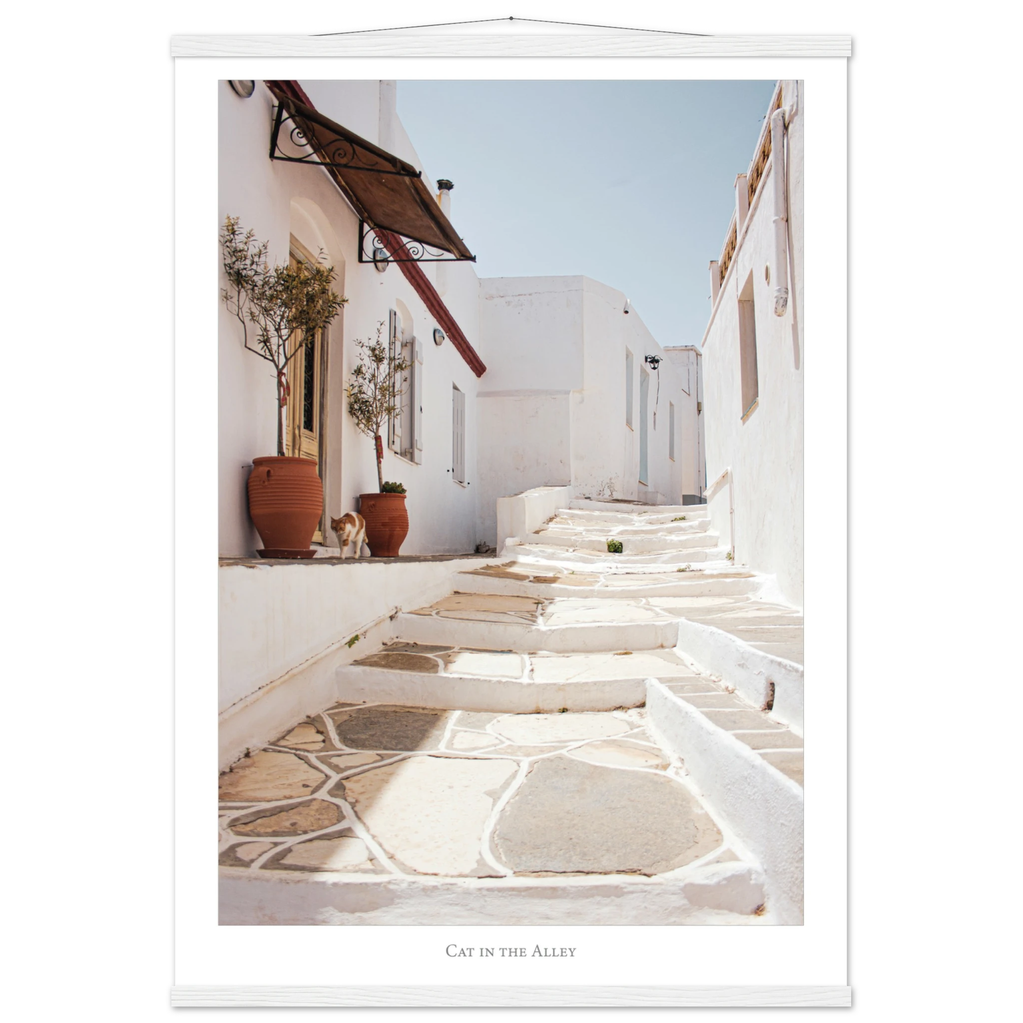 9e7fe396-b9f8-45da-b0a7-cdf3ef2a4b0f