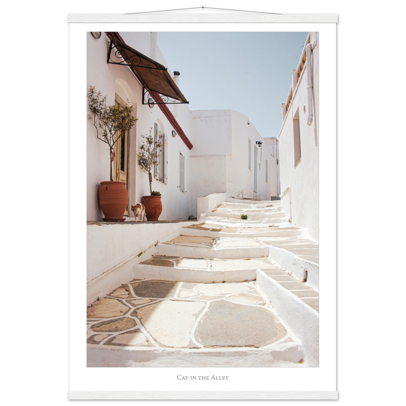 9e7fe396-b9f8-45da-b0a7-cdf3ef2a4b0f