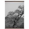 9f49cce5-2209-4e64-909e-4864fcdc84da