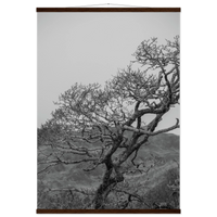 9f49cce5-2209-4e64-909e-4864fcdc84da
