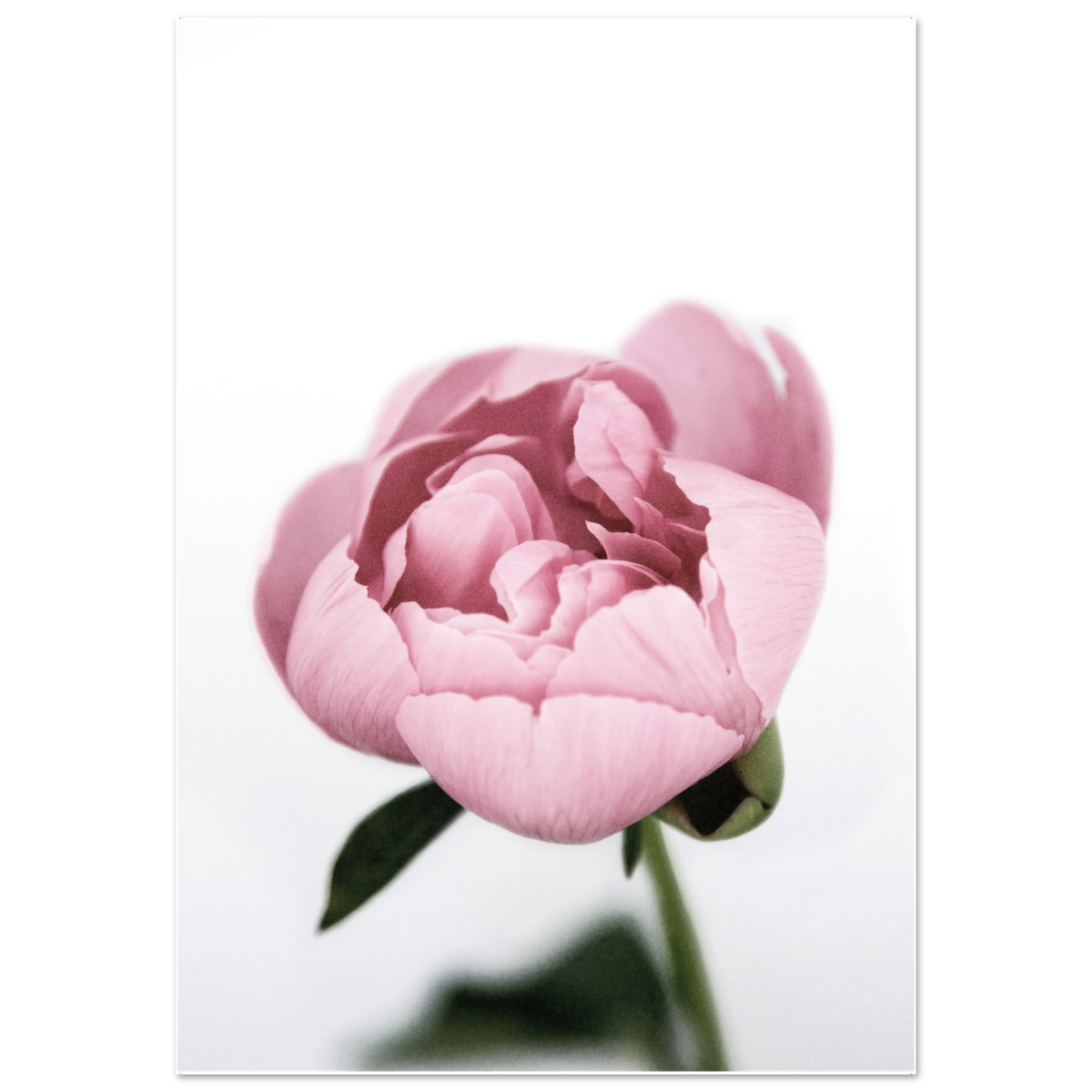 a0feb9e8-2250-4961-b8d7-57ac76b9138c