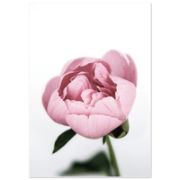 a0feb9e8-2250-4961-b8d7-57ac76b9138c