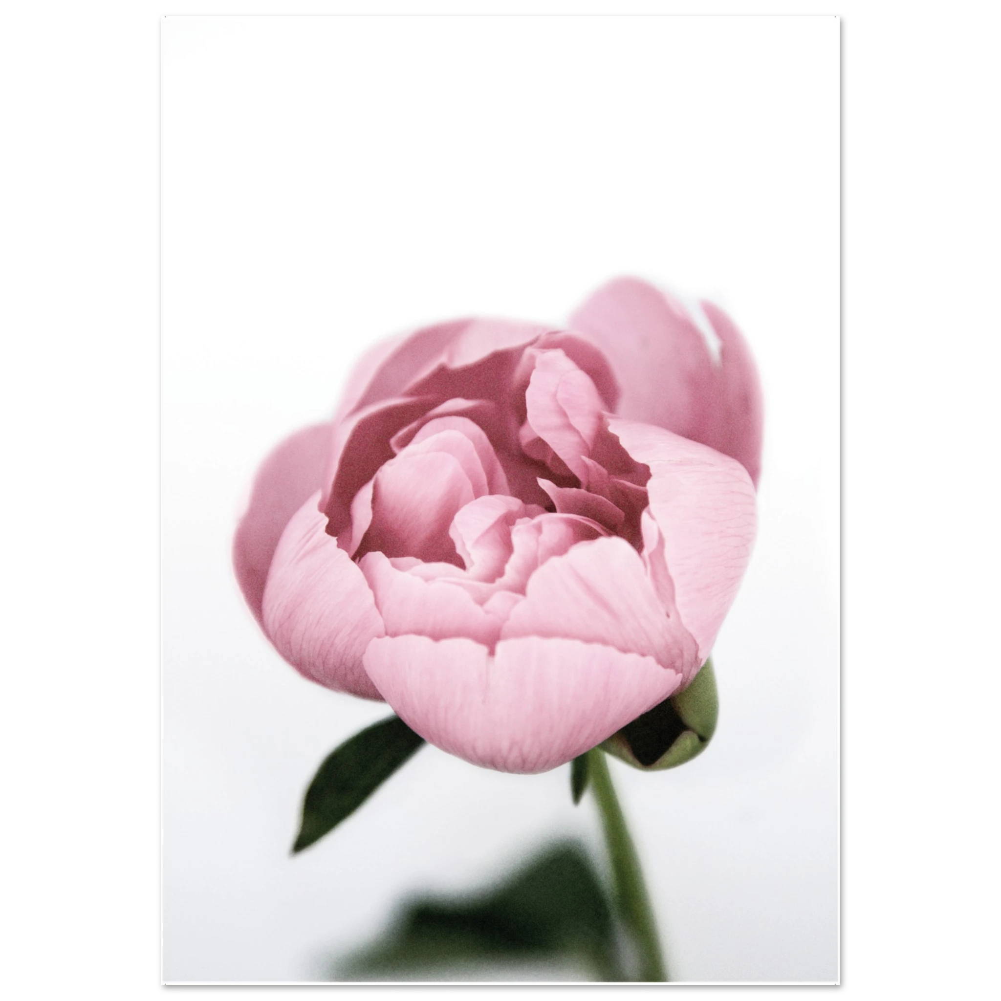 a0feb9e8-2250-4961-b8d7-57ac76b9138c