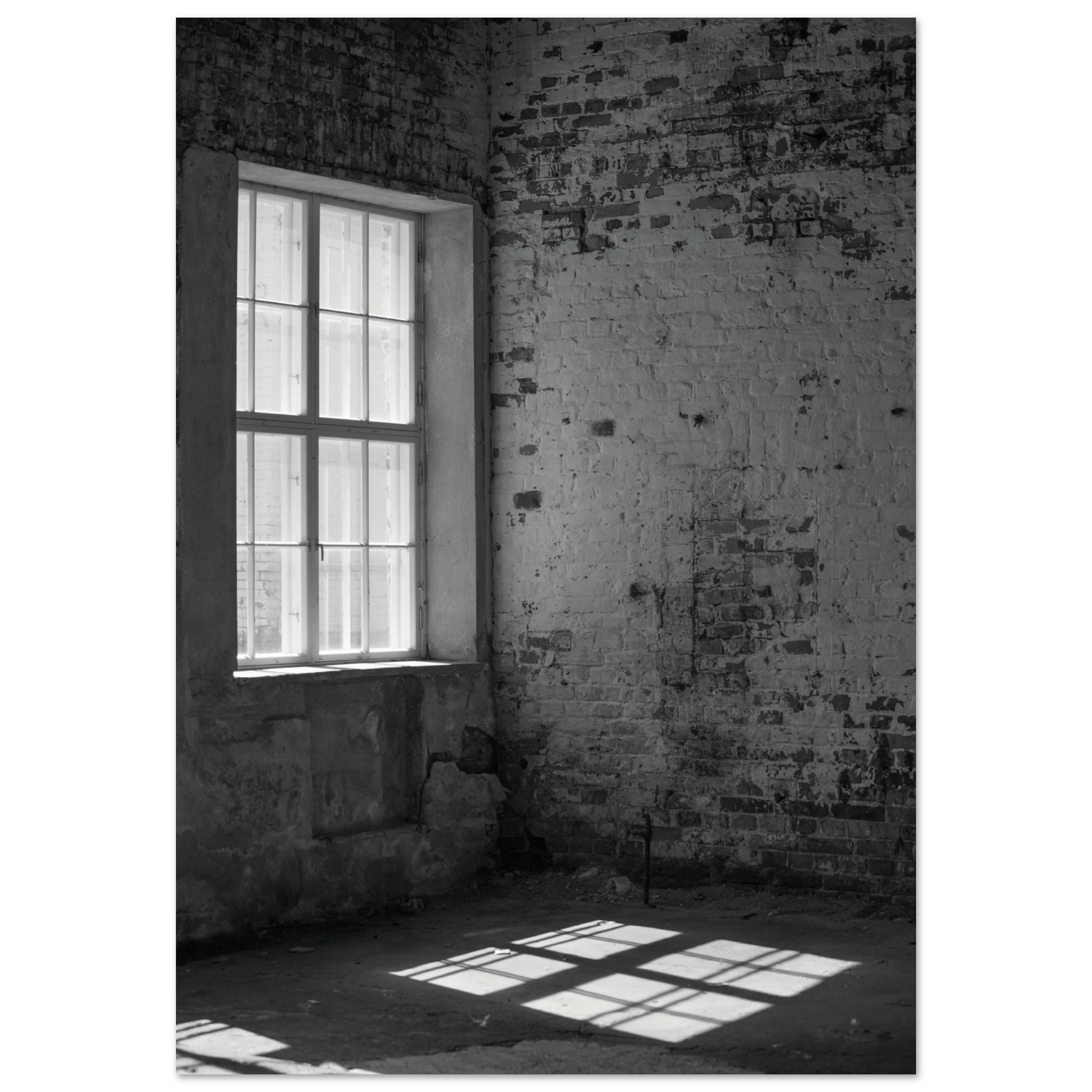 a1453d2d-ebed-44ff-a292-ad82283621f9