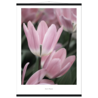 a23f8e67-09a0-48b2-a402-821532b1c45a