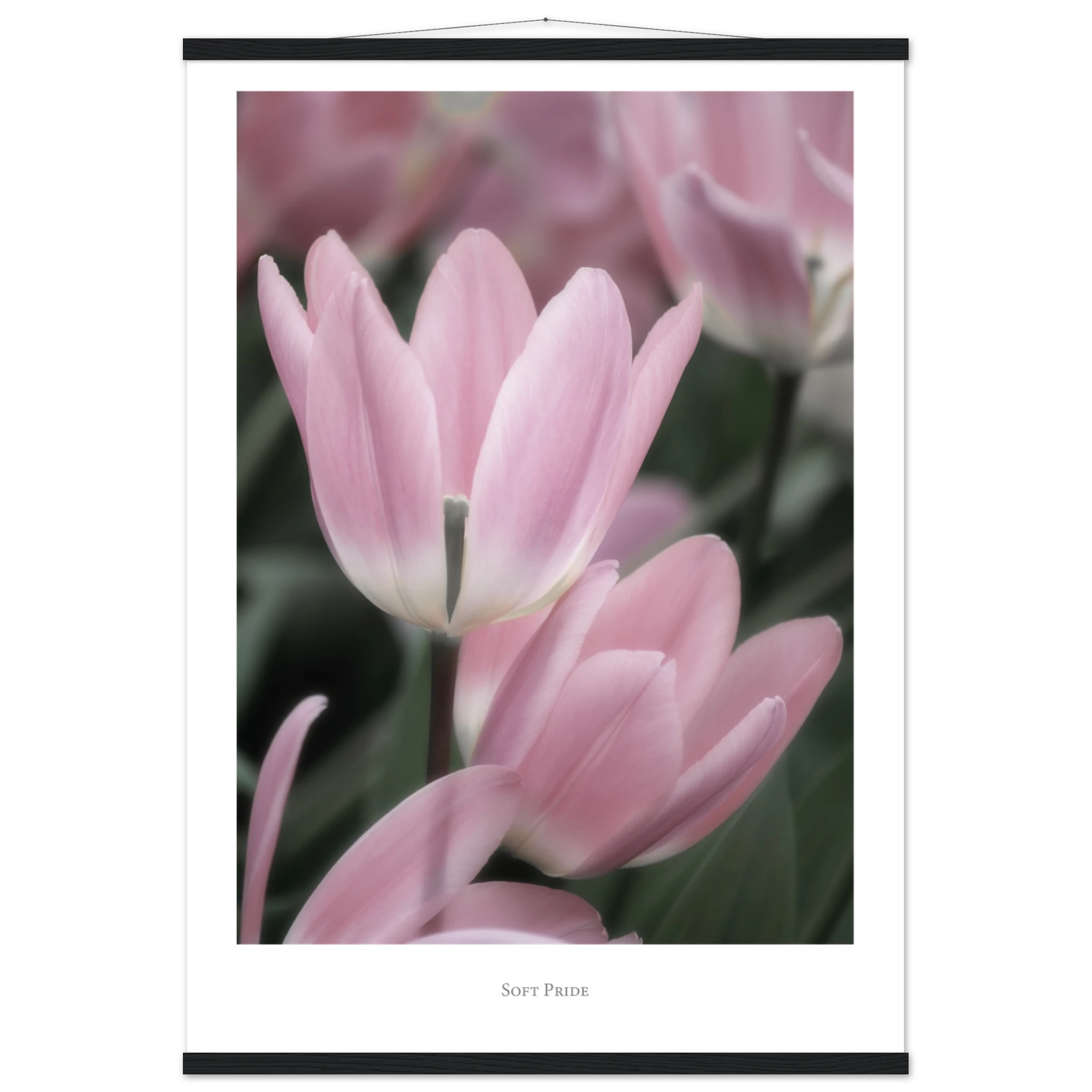 a23f8e67-09a0-48b2-a402-821532b1c45a